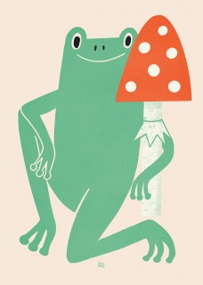 Frog and toadstool Poster