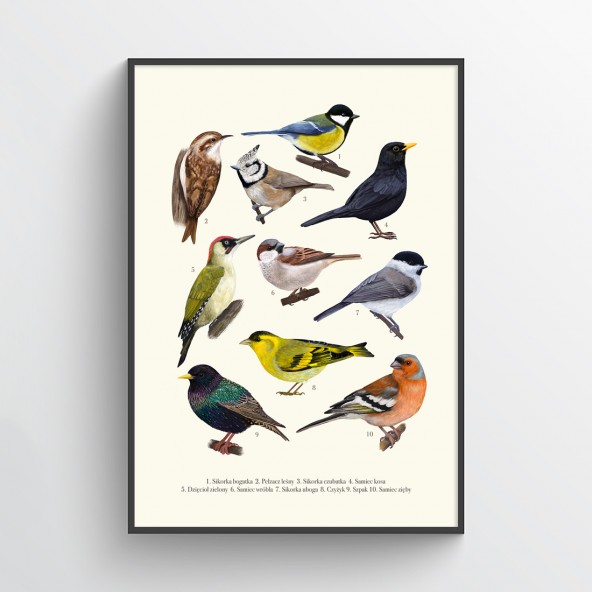 Birds II Poster Birds II Poster