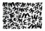 Birds poster Birds poster
