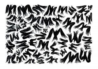 Birds poster