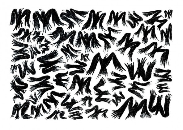 Birds poster Birds poster