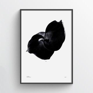 Plakat Grow 2