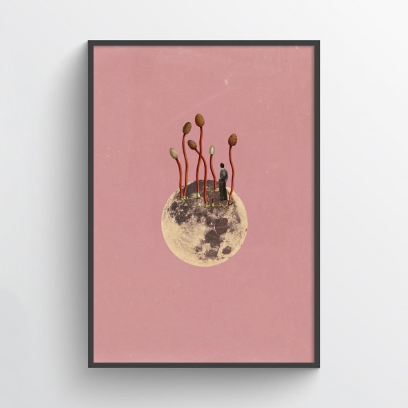 Homeland Poster Homeland Poster