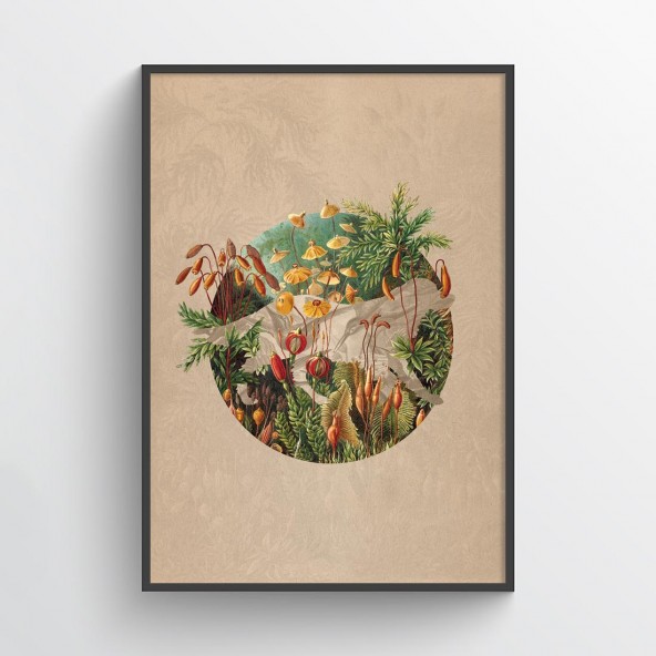 Plakat Nature Plakat Nature