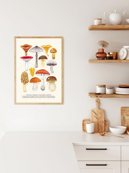 Cream Mushrooms Poster Cream Mushrooms Poster