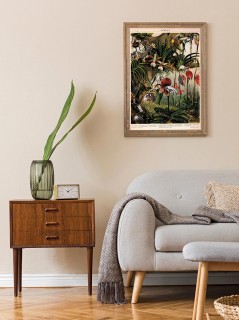 Orchidee 2