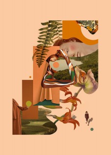 Play with shapes II