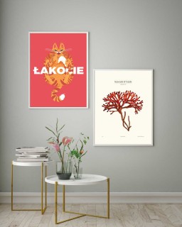 Łakocie 2