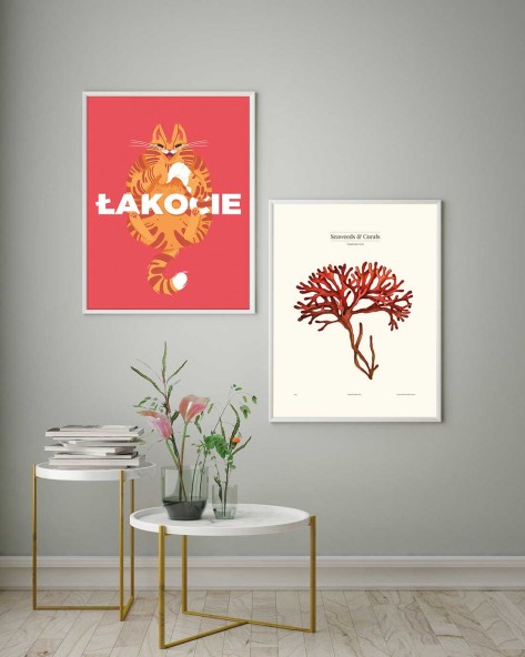 Gorgonian Poster Gorgonian Poster