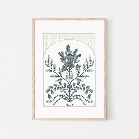 Ficus Poster