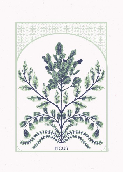 Plakat "Ficus" Plakat "Ficus"