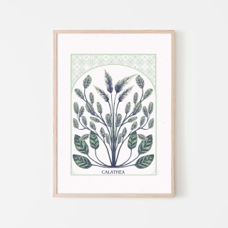 Calathea Poster 2