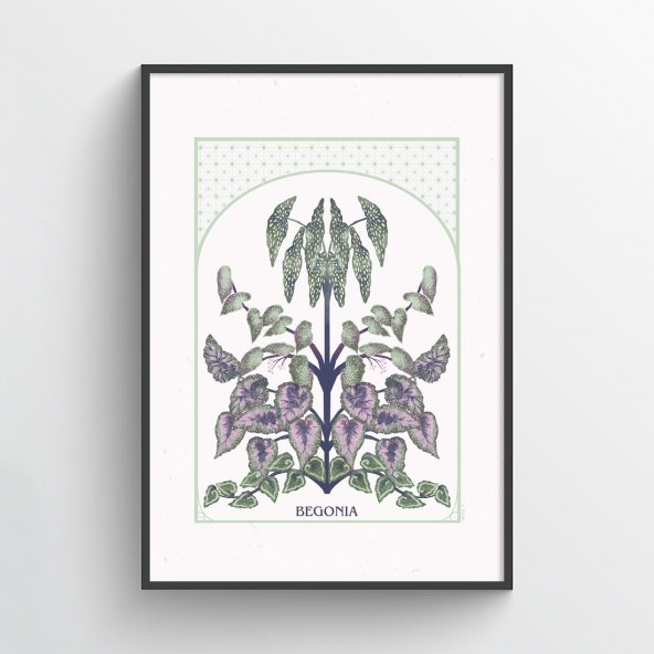 Begonia Poster Begonia Poster