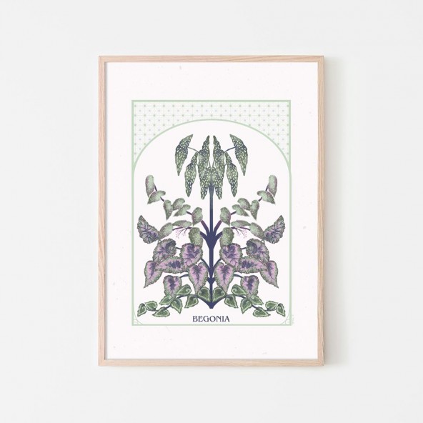 Begonia Poster Begonia Poster