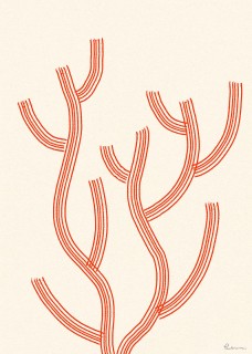 Plakat Plant IV