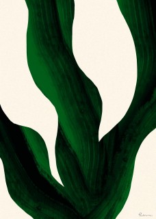 Plant III Poster