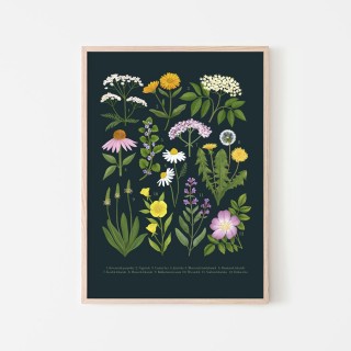 Medicinal plants Poster 2