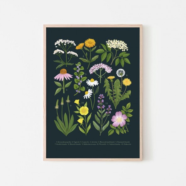 Medicinal plants Poster Medicinal plants Poster