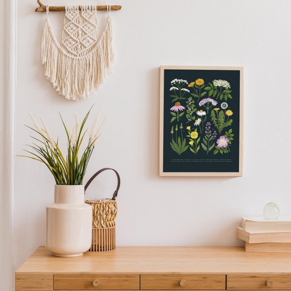 Medicinal plants Poster Medicinal plants Poster