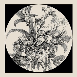 Plakat Flowers II