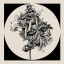 Plakat Flowers I Plakat Flowers I