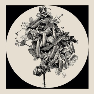 Flowers I Poster