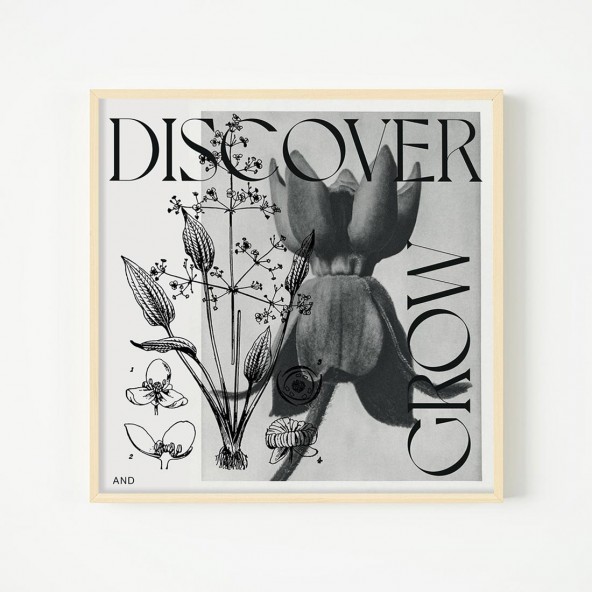 Plakat Discover & Grow Plakat Discover & Grow