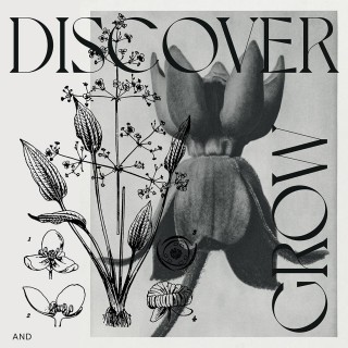 Discover & grow Poster