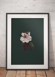 Plakat Magnolie 2