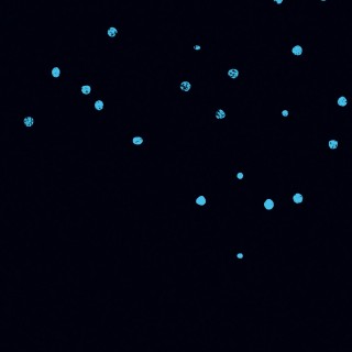 The Shadow of the Sun Poster 2