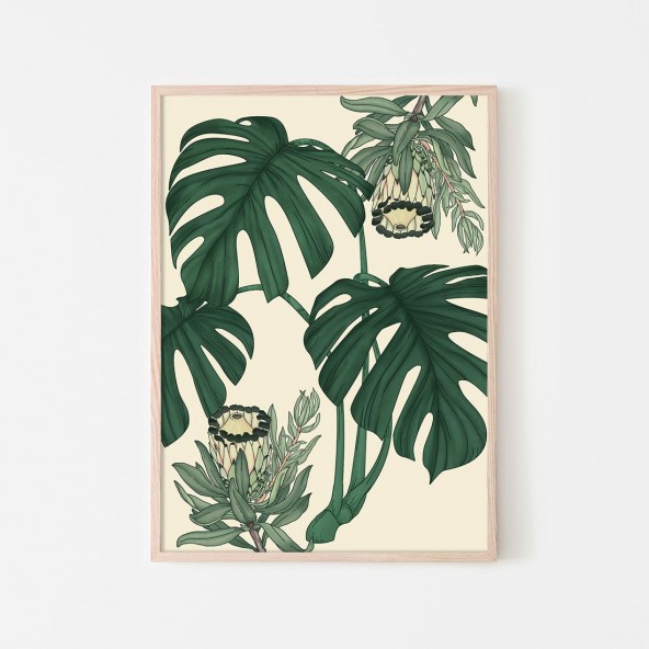 Monstera Protea Poster Monstera Protea Poster
