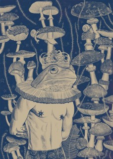 Prince Frog Poster