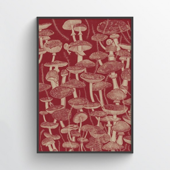 Mushrooms Poster