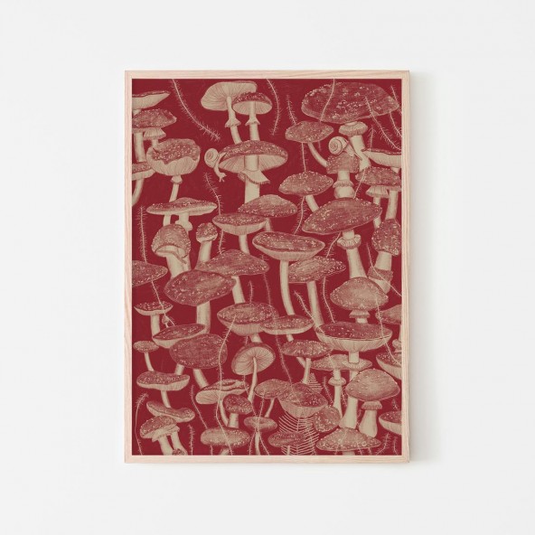 Mushrooms Poster