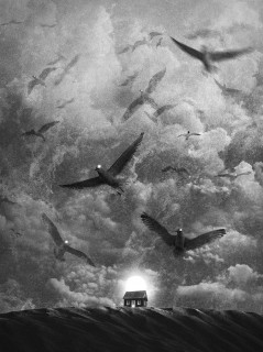 Birds Poster