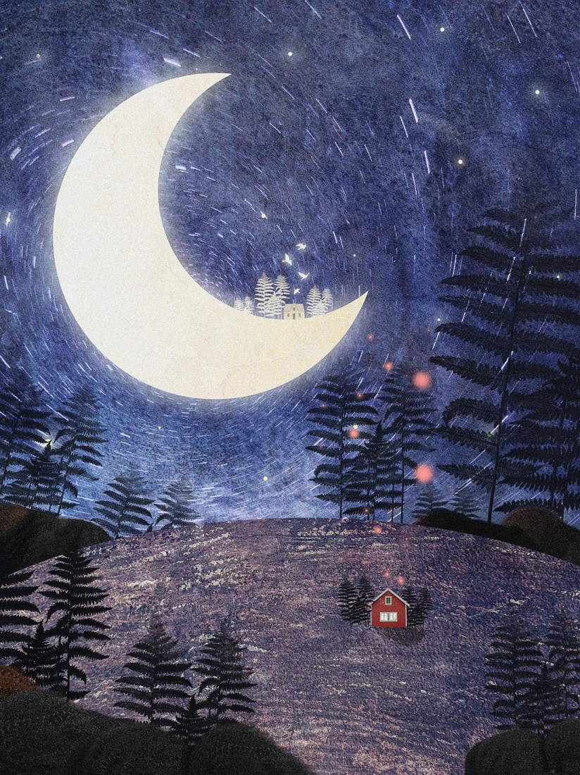 Moonlight night Poster
