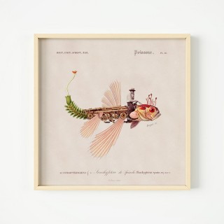 Plakat Fishboy 2