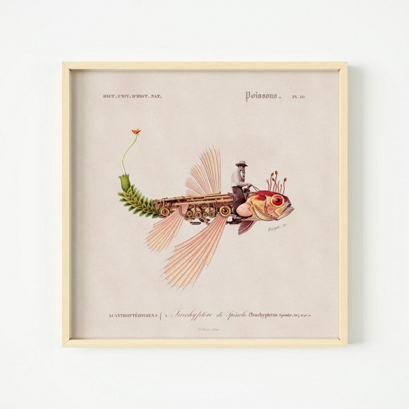 Plakat Fishboy Plakat Fishboy