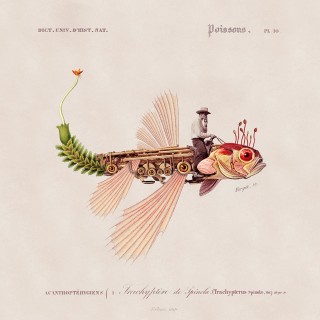Plakat Fishboy