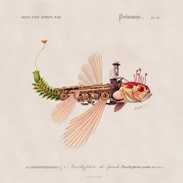 Plakat Fishboy Plakat Fishboy