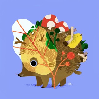 Hedgehog Poster
