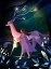The longest night Poster The longest night Poster