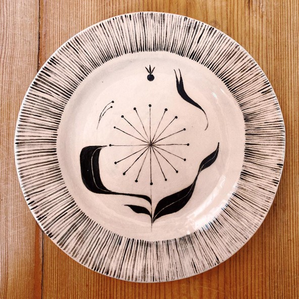 Talerz Dmuchawiec Talerz Dmuchawiec