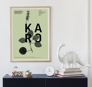 Plakat Karo 2