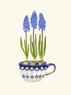 Sapphire flower Poster