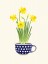 Narcissus Poster Narcissus Poster