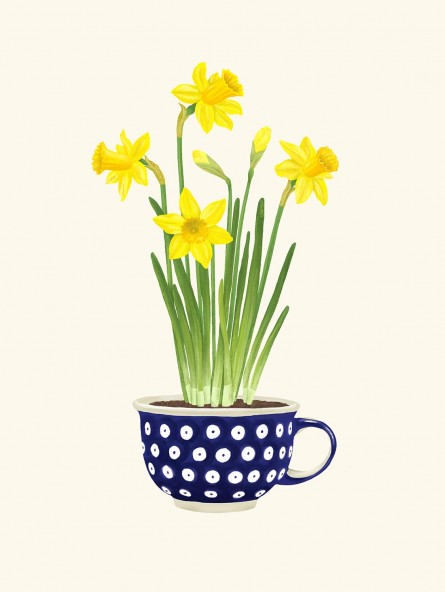 Plakat Narcyzy Plakat Narcyzy