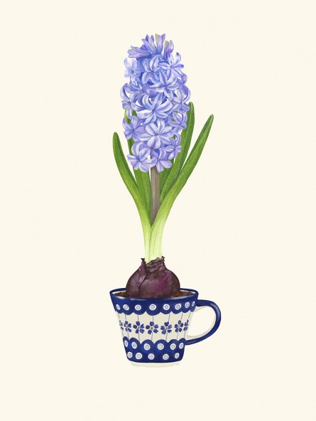 Hyacinth Poster