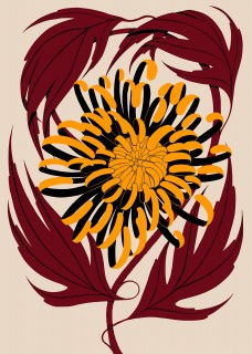 Plakat Chryzantema