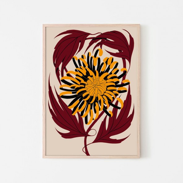 Plakat Chryzantema Plakat Chryzantema